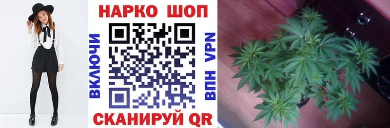 A PVP Вязьма