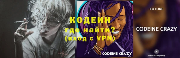 эйфоретик Ельня