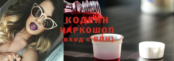 эйфоретик Ельня