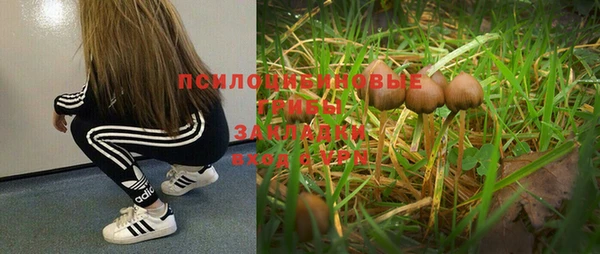 мдма Елабуга