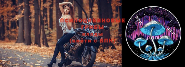 эйфоретик Елизово