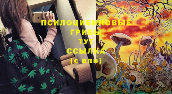 эйфоретик Елизово