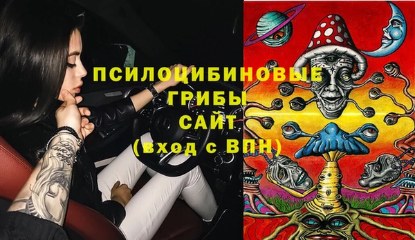 эйфоретик Елизово