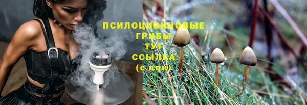 эйфоретик Елизово
