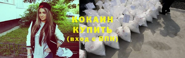 эйфоретик Ельня
