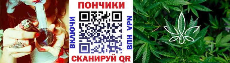Бошки марихуана MAZAR  Купить где  Вязьма 